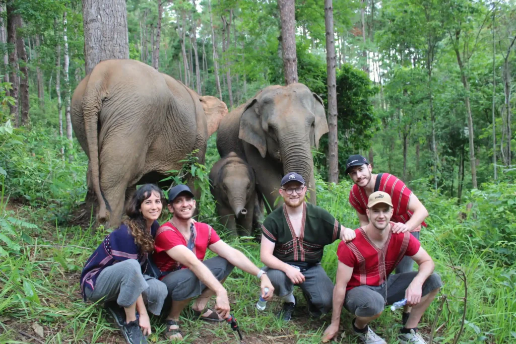 Why Choose Chiang Mai Elephant Land