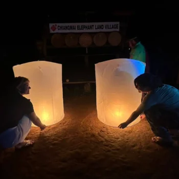 Chiangmai elephant land night activity
