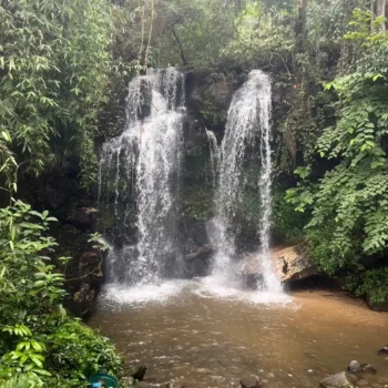 Overnight Stay at Elephant Land 2