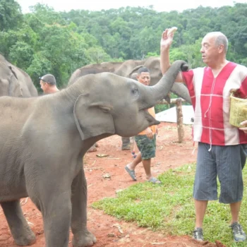 Private One Day Elephant Land and waterfall 1