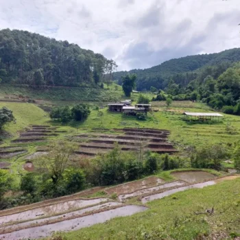 Private One Day Elephant Land and waterfall 11