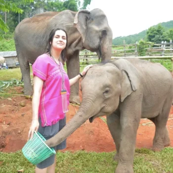 Private One Day Elephant Land and waterfall 2