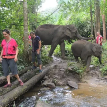Private One Day Elephant Land and waterfall 3