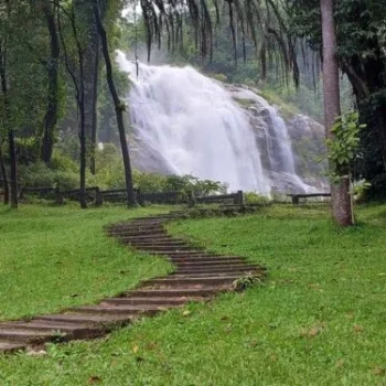 Two Day Visit & Doi Inthanon National Park 1