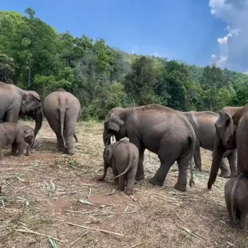 Two Day Visit & Doi Inthanon National Park 13