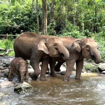 Two Day Visit & Doi Inthanon National Park 7