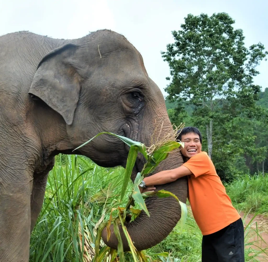 Why Choose Chiang Mai Elephant Land