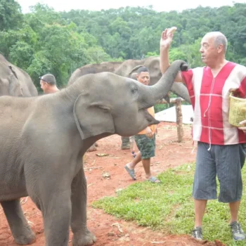 chiangmai-elephant-land-1day-10