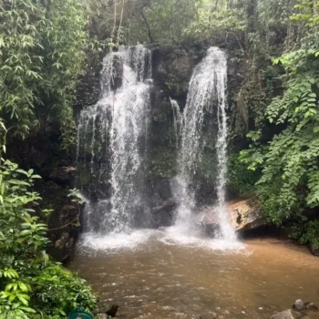chiangmai-elephant-land-1day-8