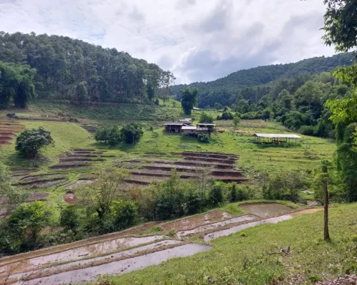 Private One Day Elephant Land and waterfall 11